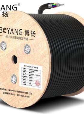 博扬（BOYANG）BY-GYTS-48B1.3 铠装48芯单模室外光缆GYTS层绞式