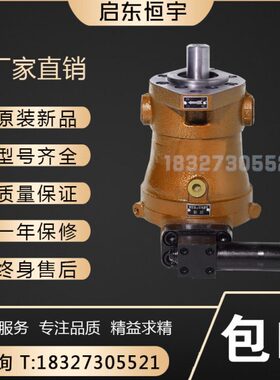启东恒宇10/16/25/32/40/63/80/160/250/400PCY14-1D轴向柱塞泵