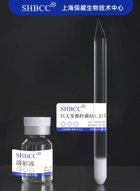 巨大芽孢杆菌AS1.217甘油菌斜面试管菌制作细菌饲料营养琼脂传代