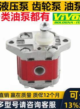 意大利VIVOLO齿轮泵VIVOIL液压泵油泵维沃尔电机泵马达XV0P-D
