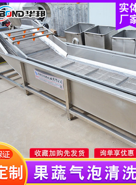 洗枣机 多功能蔬菜清洗机 蔬菜水果清洗设备 不锈钢气泡清洗机