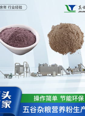 预糊化淀粉预胶化淀粉生产线真诺变性淀粉婴幼儿米粉设备源头厂家