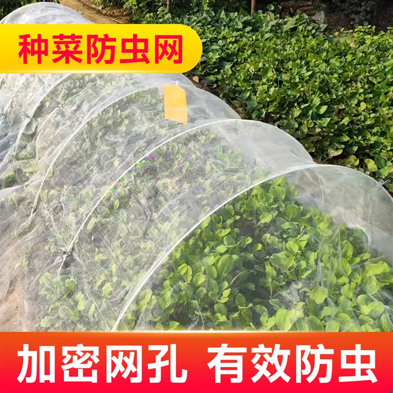 防虫网种菜专用80目阳q台大棚蔬菜种植纱网40目防鸟菜园农用加厚