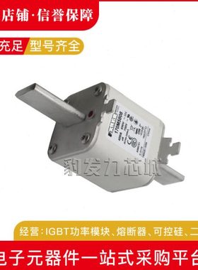 170M5458 170M5459 170M5460 170M5461 170M5462 170M5463熔断器