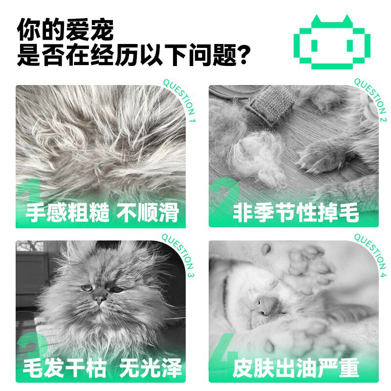 能量怪兽E02低温烘焙天然无谷椰子鸡肉生骨肉成幼猫全价猫粮通用