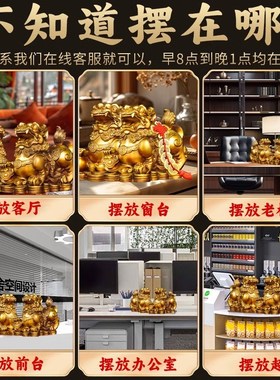 貔貅摆件招财聚财纯铜公母一对家用办公室家用办公室皮丘貔犰