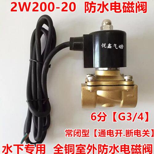 6分 防水电磁阀 水阀 2W200-20 喷水泉下专用 2A-20 防水室外专用