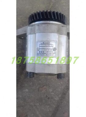 齿轮油泵齿轮泵 CB10/20-6BT-3洗扫车转向油泵 37齿环卫车 扫路车