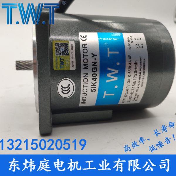 TWT电机 40W三相电机5IK40GN-Y  5RK40GN-Y  台湾东炜庭电机