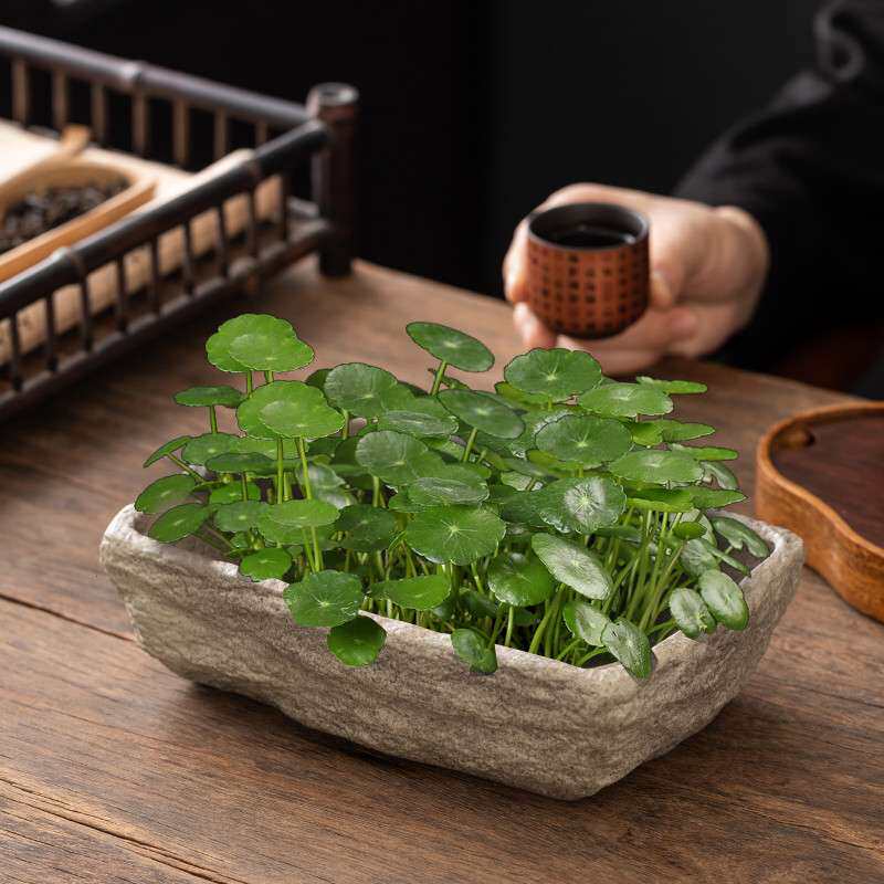 仿石头水培器皿长方形陶瓷花盆家用水仙花铜钱草碗莲盆栽盆景盆子