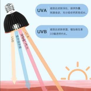 新型取暖灯泡宠物保暖灯爬宠加热夜灯龟缸专用灯乌龟晒背灯usb杀