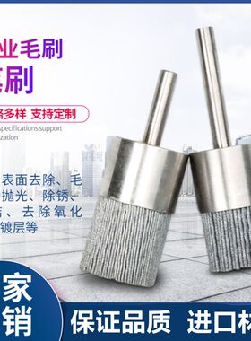 工业进口碳化硅笔刷杜邦丝微型刷凹槽打磨抛光去毛刺电钻磨料刷头