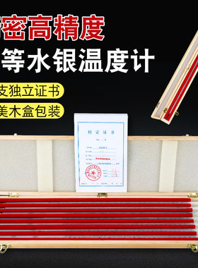 高精度水银温度计二等标准0.10-50/100/150/200/250/300一等内标