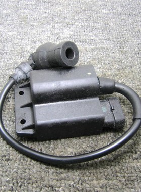 比亚乔ZIP/BYQ100TFLY100/BYQ100T-2/罗宾逊100高压包点火器