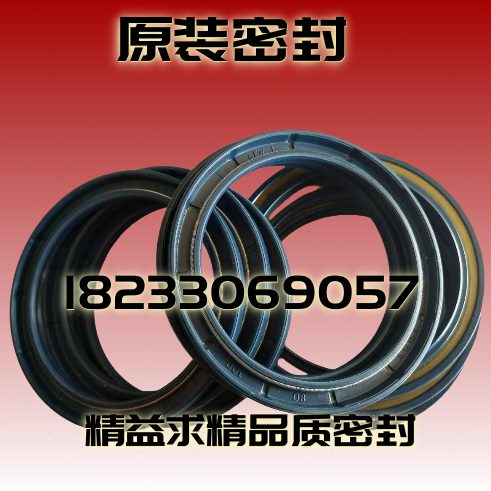 进口德国CFW骨架油封BAU6SLX2 105-130-12 100-130-12