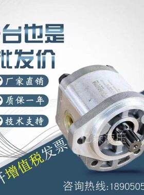 意大利CASAPPA凯斯帕齿轮泵WSP10-1/1.5/2/2.5/4/5/5.8/6.3/8/10