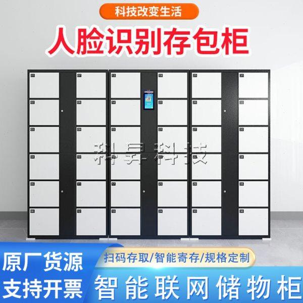 智能联网储物柜景区超市商场扫码收费物品寄存柜人脸识别存包柜,商业/办公家具,寄存柜/快递柜,淘宝优惠券,粉丝福利购,淘宝优惠卷