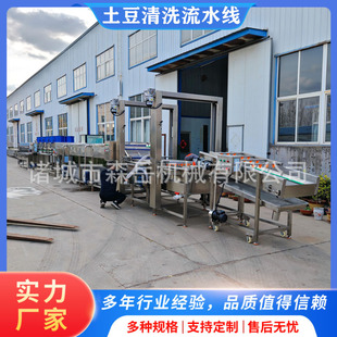 大型红薯清洗机果蔬自动平行毛刷清洗机土豆清洗分拣一体机不伤皮