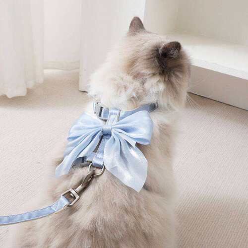 防挣脱外出专用遛猫绳溜猫链子狗狗工字型胸背带猫咪牵引绳公主风