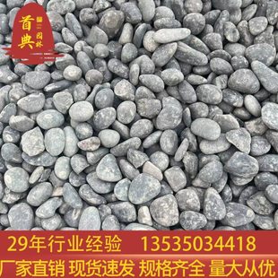 吨位价黑色鹅卵石深灰色雨花石水池低鹅卵石庭院铺面石沟盖板卵石