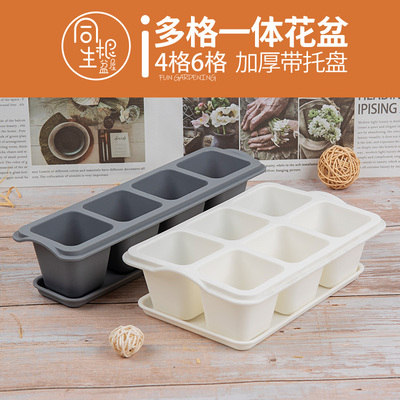 桃蛋创意多肉小花盆塑料长条形带托盘一K体方盆多肉花盆托架组合