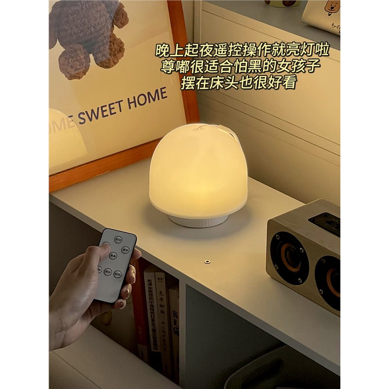 小台灯宿a舍床上用小夜灯学习床头吊灯支架学生上铺床帘蚊帐内悬