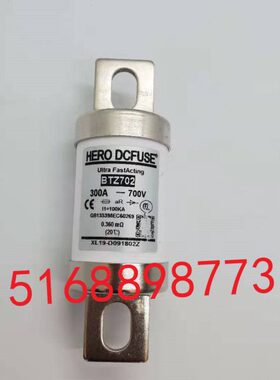 新能源客车电动汽车熔断器BTZ702-300A/700VDC