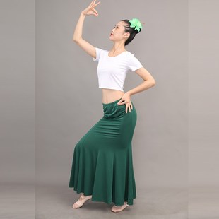 女舞裙 练功裙表演服傣族服装 孔雀舞艺考服装 傣l族舞蹈演出服装