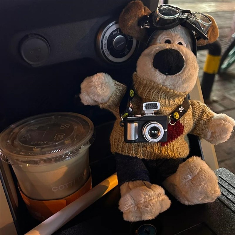 掌门狗装饰公仔玩偶电动瓶摩托机单车踏板头尾部箱配复古挂摆配件