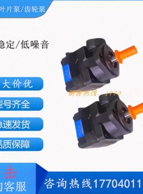 DENISON 丹尼逊油泵 SDV10-1P5P-1C/SDV10-1P6P-1-2叶片泵SDV20