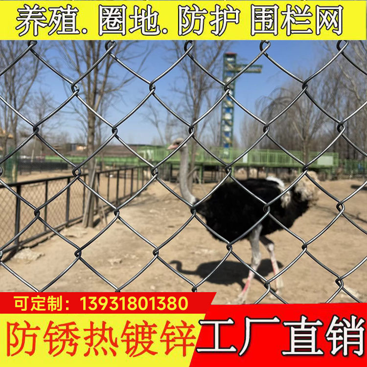 镀锌铁丝网勾花网圈地圈山防护网养狗养牛羊猪隔离网养殖网围栏网