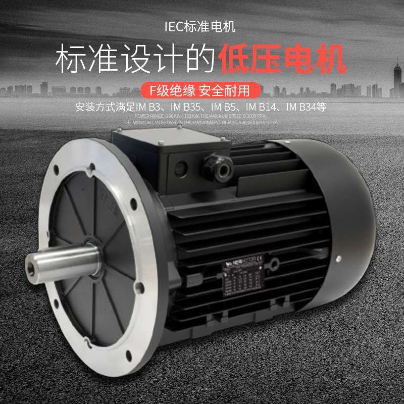 供应意大利NERIMOTORI三相异步铝壳电动机T80B2 HE280B4 HE390LA4
