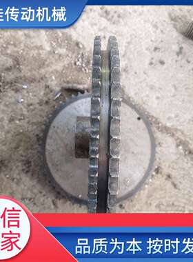 提升机链轮NE15.30.50.100.150.200 工业机械传动双节距齿轮加工