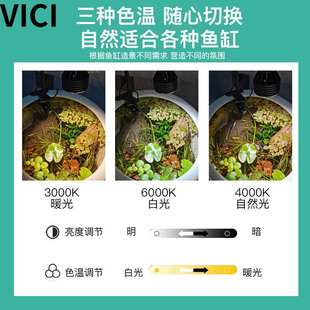 古法鱼缸补光灯陶瓷水缸专用灯南美原生溪流水草造景鱼缸射灯变焦