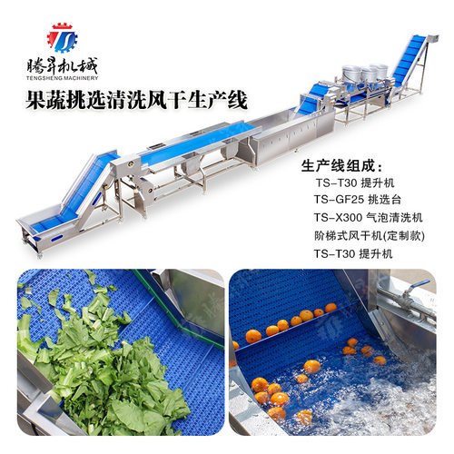 自动化蔬果沙葛芒果挑选清洗风干生产线 水果加工清洗生产设备