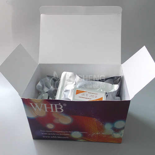 WHB TC处理6孔12孔24孔48孔96孔圆形方形细胞爬片贴壁细胞爬片 WH