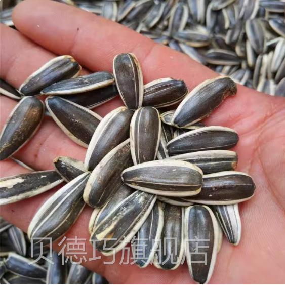 熟斤原味PLA散装子/0五香奶油5焦糖批葵花瓜籽250g整箱瓜子