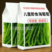 央妈推荐 新鲜绿色鱼子酱健康零食 儿童海葡萄即食官方旗舰店正品