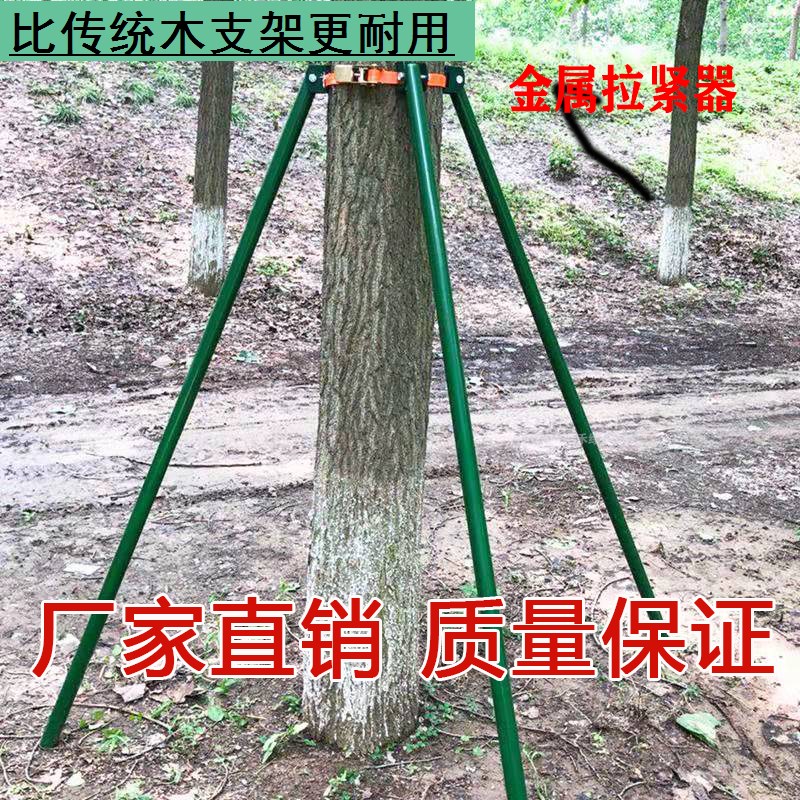 绿色支撑杆金属钢管树支撑防风树木支撑架抱箍乔木固定器大树园林
