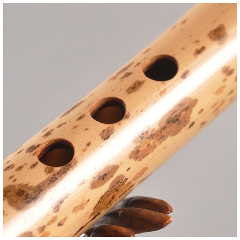 品致特制斑竹演奏洞箫萧斑竹箫精品箫八孔六孔箫湘妃梅鹿竹,乐器/吉他/钢琴/配件,箫,淘宝优惠券,粉丝福利购,淘宝优惠卷