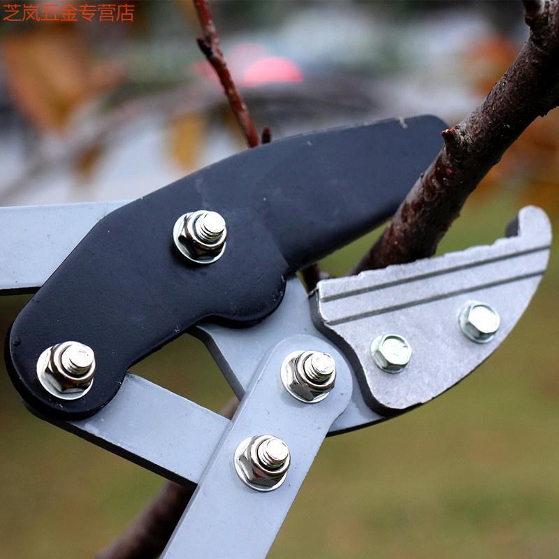 果园修枝剪粗枝剪 伸缩大力剪高枝剪 树枝剪果树剪 园艺园林工具