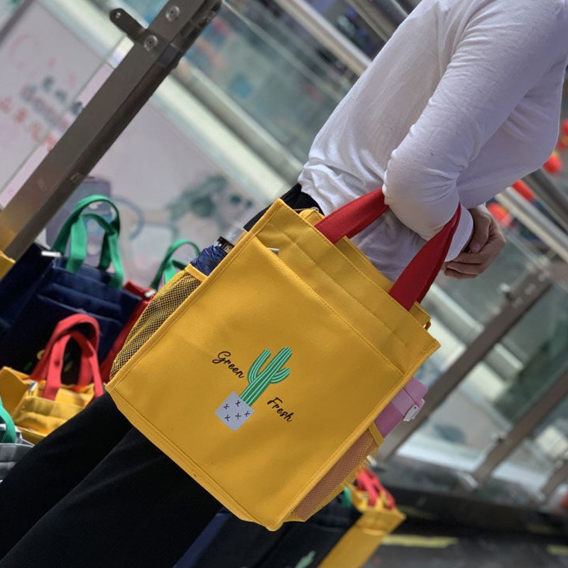 儿童书包女可爱小学生多功能大容量补习袋卡通轻便美术作业手拎包