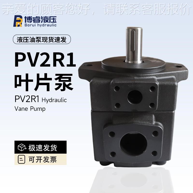 家供HEBPV2R1叶片泵全规格2 6/8/10/直1/14ml/r液厂压系统油泵液