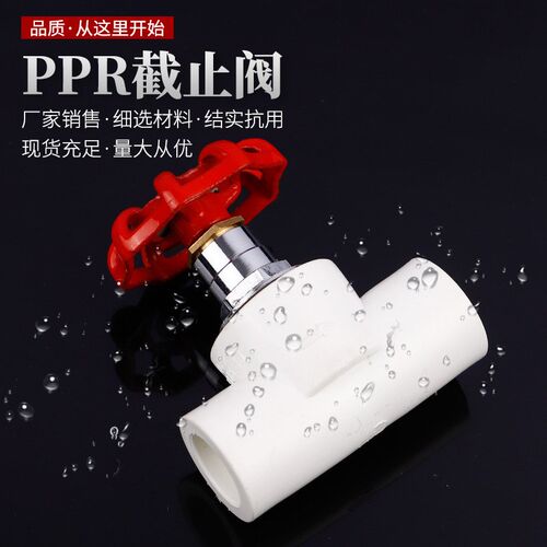 加厚热熔PPR截止阀升降式开关冷热给水管卡簧式快装水闸阀门20 25