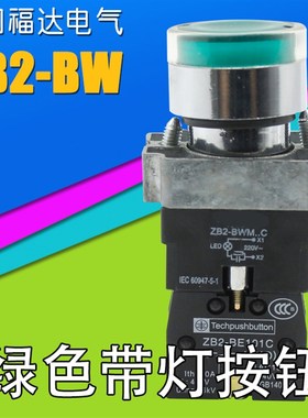 银点带灯按钮XB2-BW33B1C XB2BW33M1C绿色自复位 24V220V380V