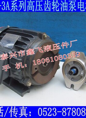 HGP-2A-F2R  F3R EPG-PA-F4R GPY-F5R F6R F7R高压齿轮油泵电机组
