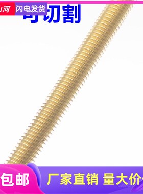 铜丝杆黄铜牙条通丝螺杆牙棒长螺杆M4M5M6M8M1M0M12M14M16M18M20