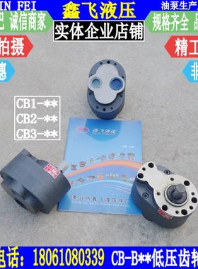 CB2/CB3-32/40/50/63/80/100/125/25/20/16/10/6/4齿轮油泵CB1-BC