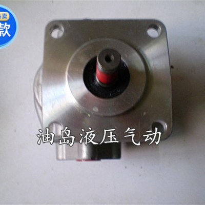 液压泵 液压油泵 高压齿轮泵 齿轮油泵HGP2A-F12R HGP2A-12R