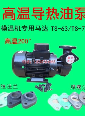 TS-63 71导热油泵 奥兰克款模温机循环泵WM-10 20 30耐高温200C